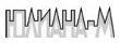 logo_uliana_m Сайт